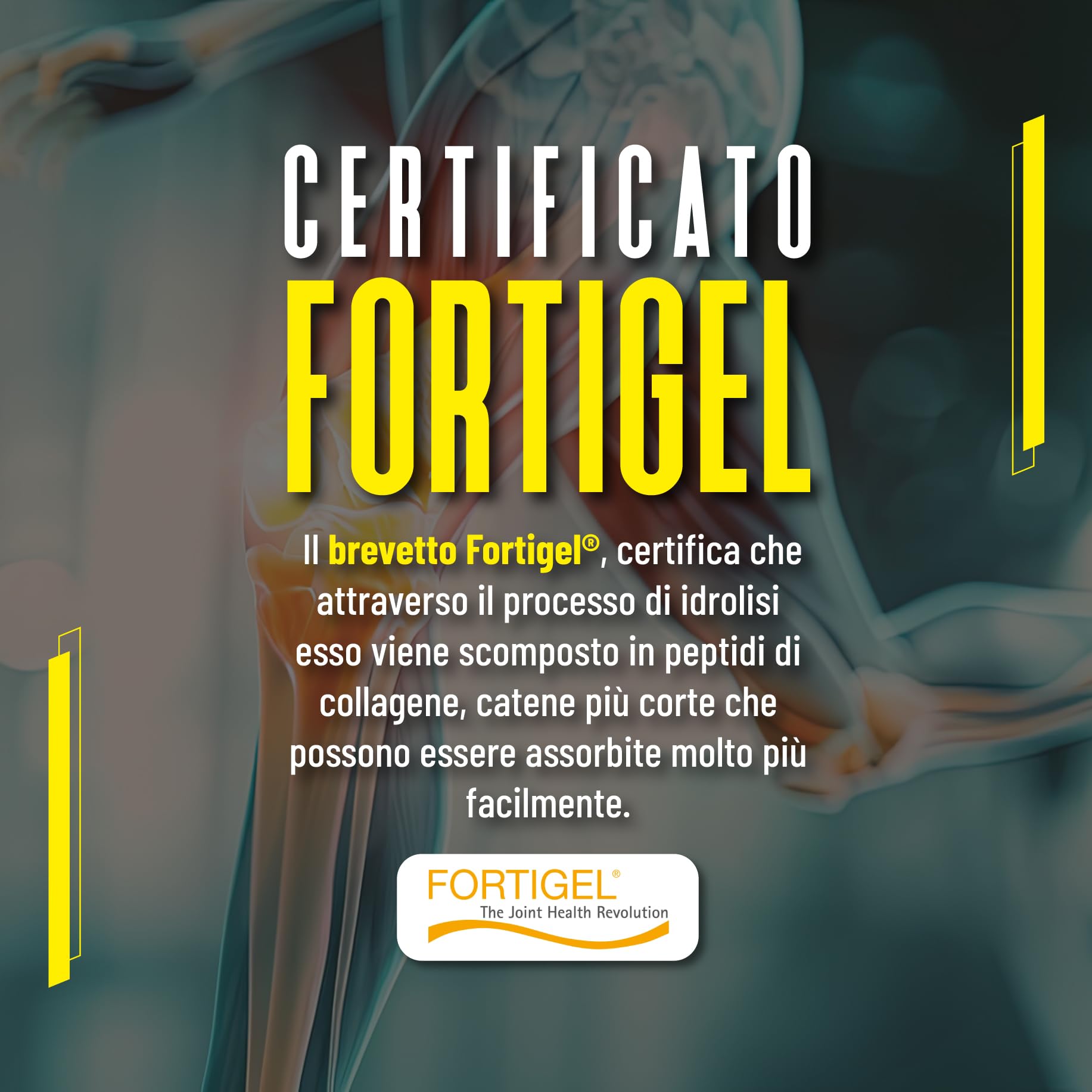 proaction-collagene-fortigel-integratore-100-compresse-con-acido-ialuronico-e-vi image 5